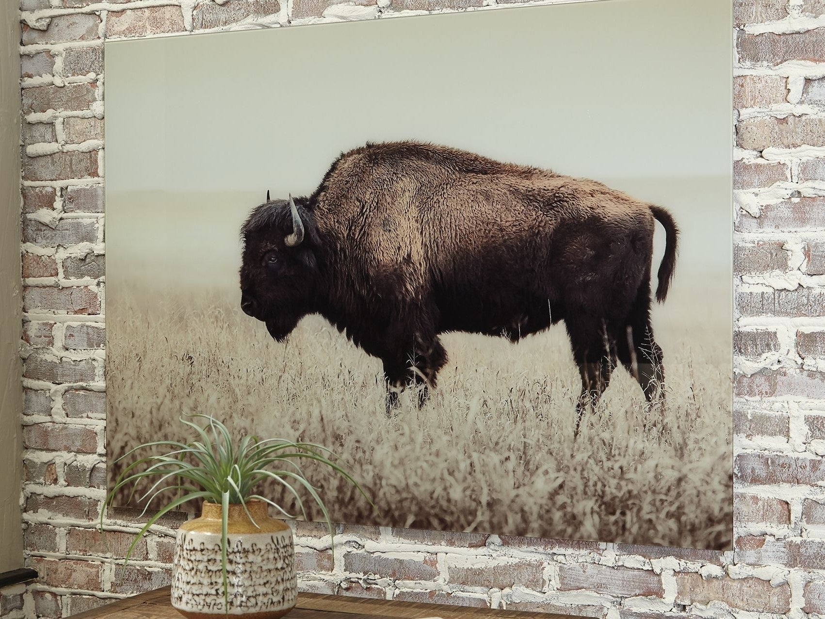 Brutus - Wall Art - Sepia