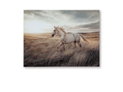 Errolville - Wall Art - Multi