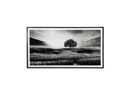 Deborland - Wall Art - Black / White