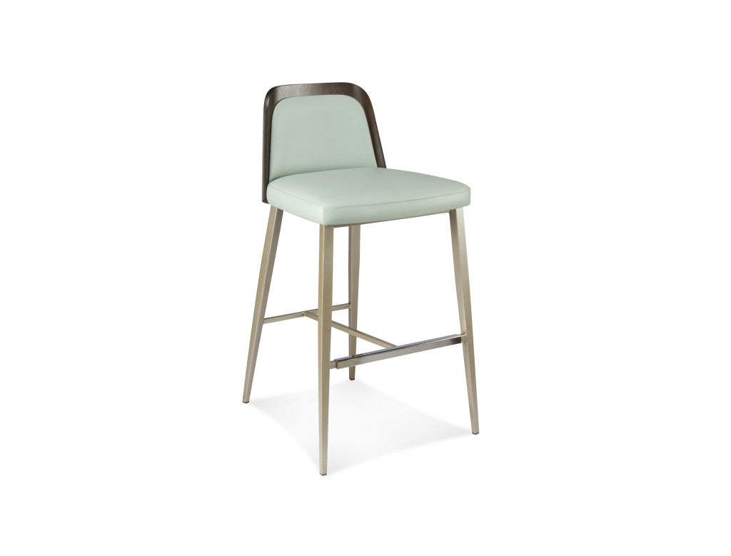 Elite Modern Coco Counter Stool Wood Back