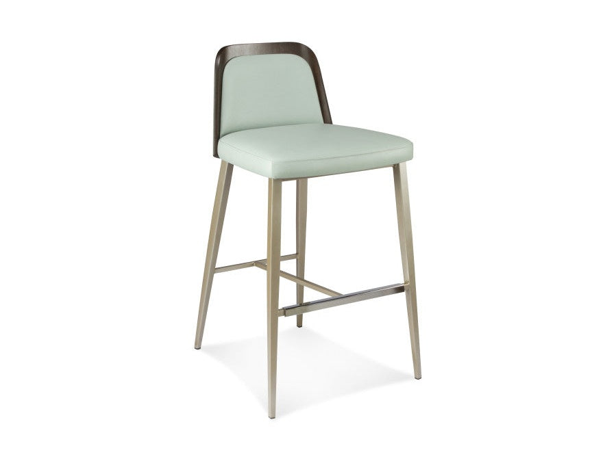 Elite Modern Coco Counter Stool Wood Back