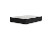 Limited Edition Plush - Mattress