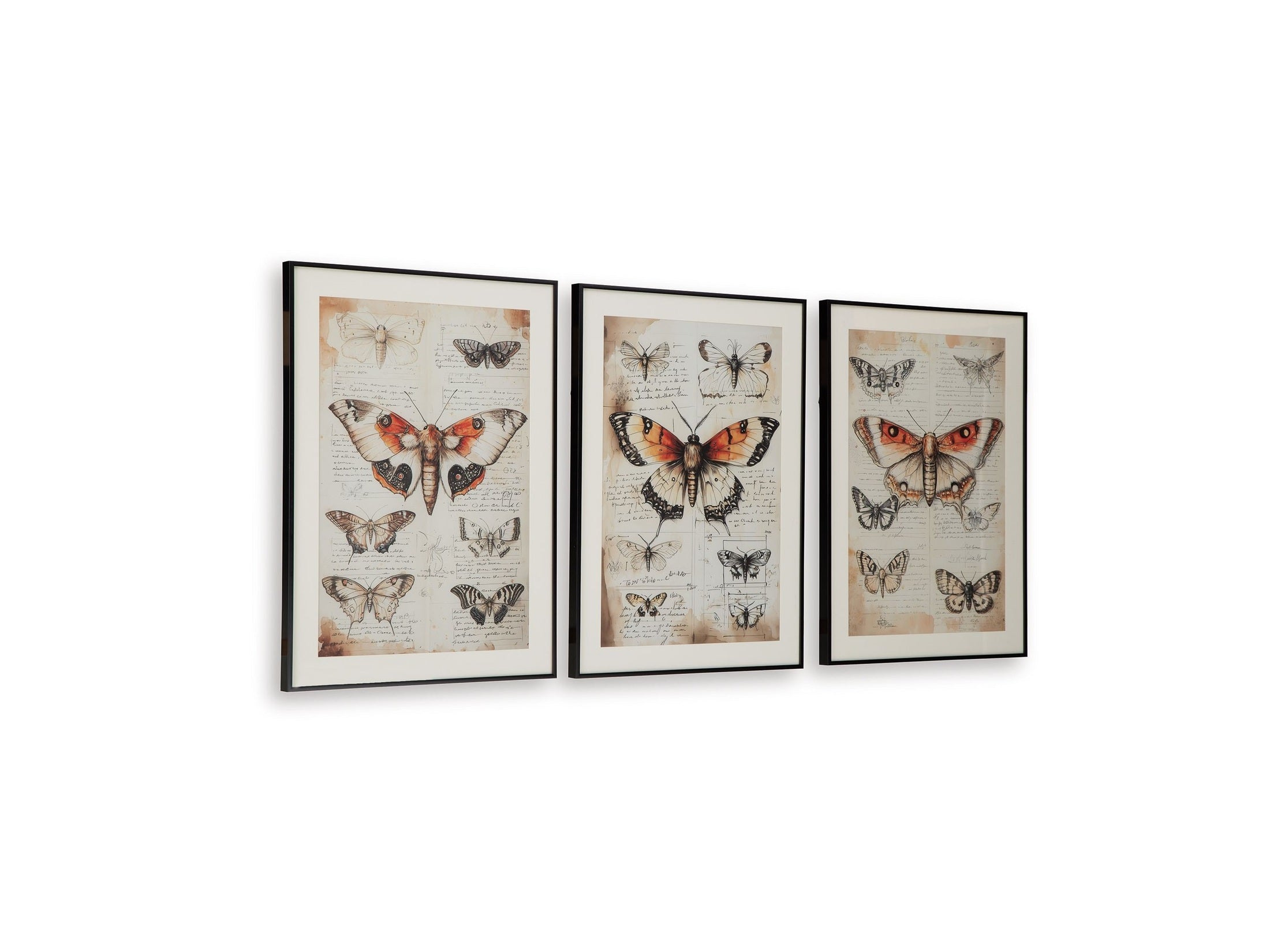 Jossletts - Wall Art Set (Set of 3) - Orange / Black / Ivory