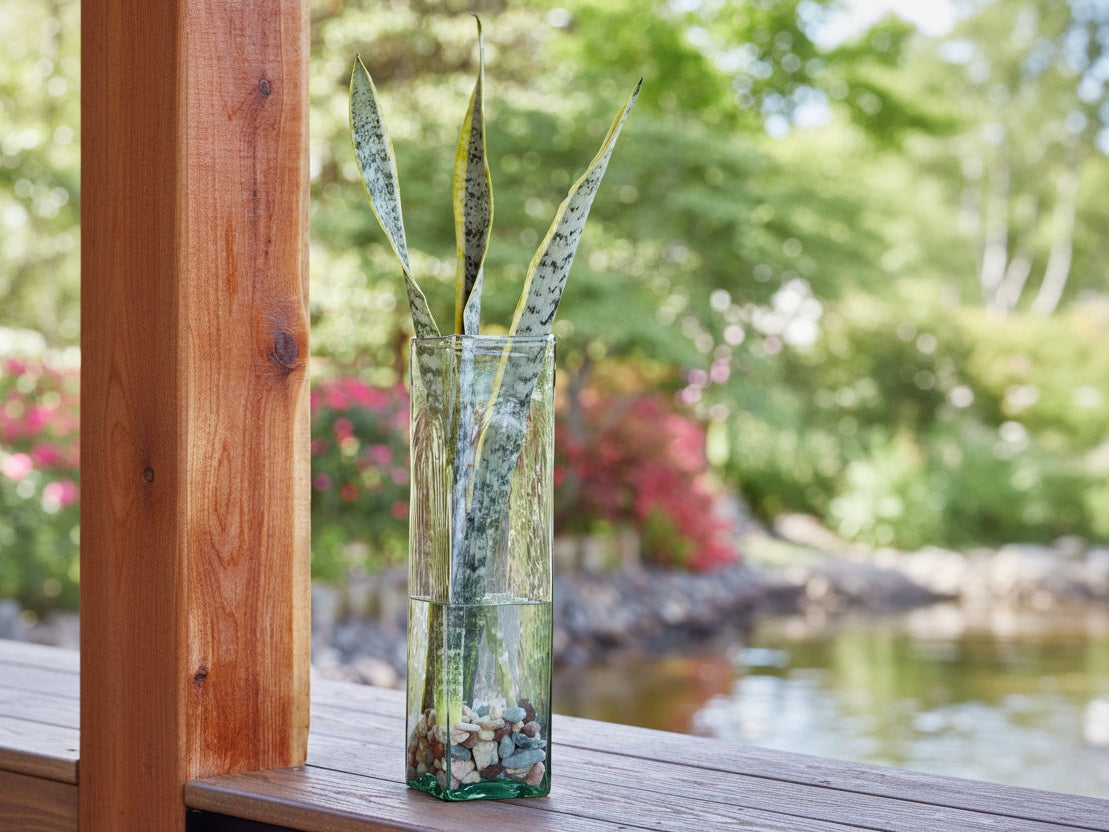 Taylow tall glass vase with snake plant on a wooden surface outdoors