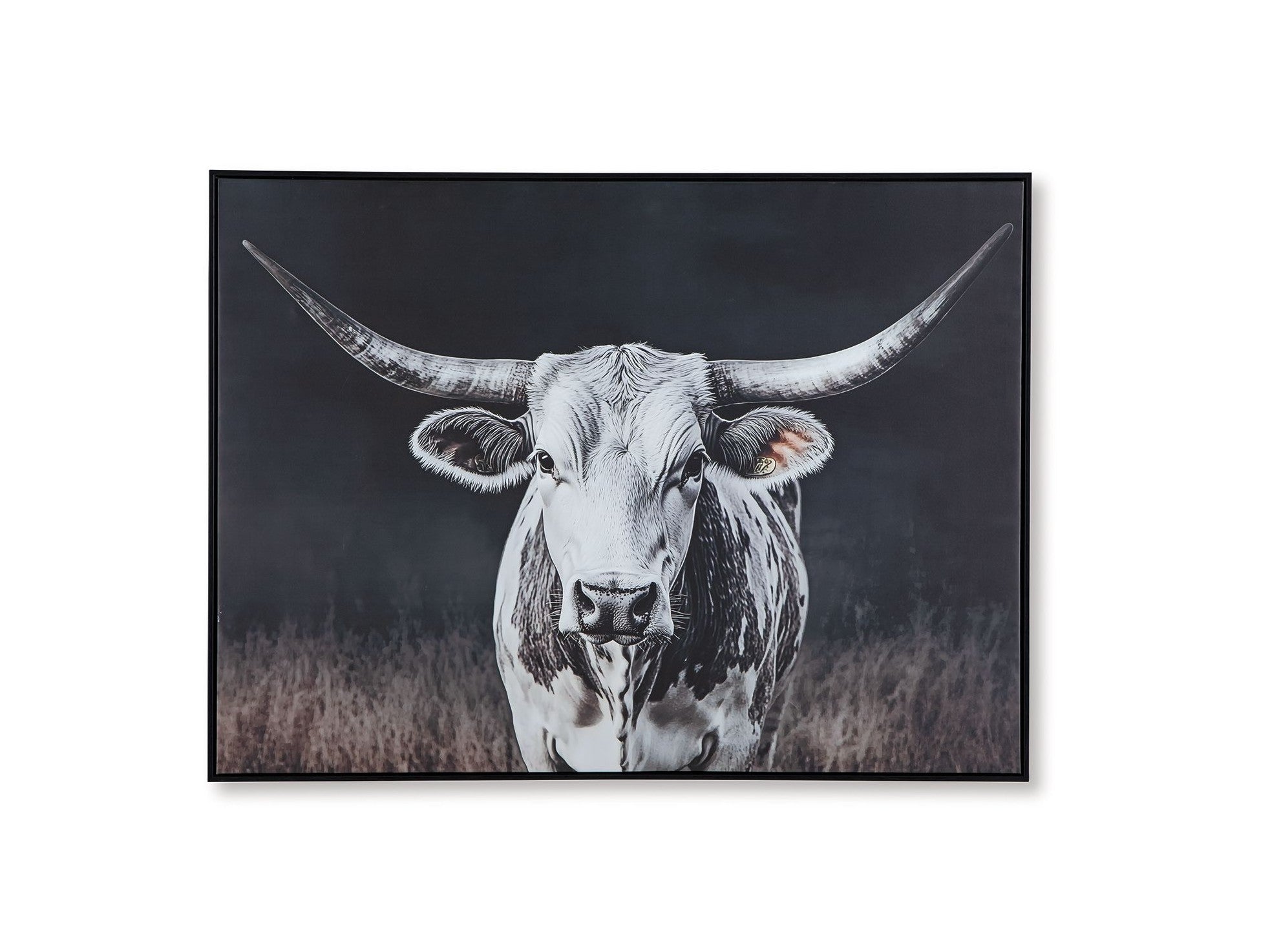 Harlandale - Wall Art - Black / White / Brown