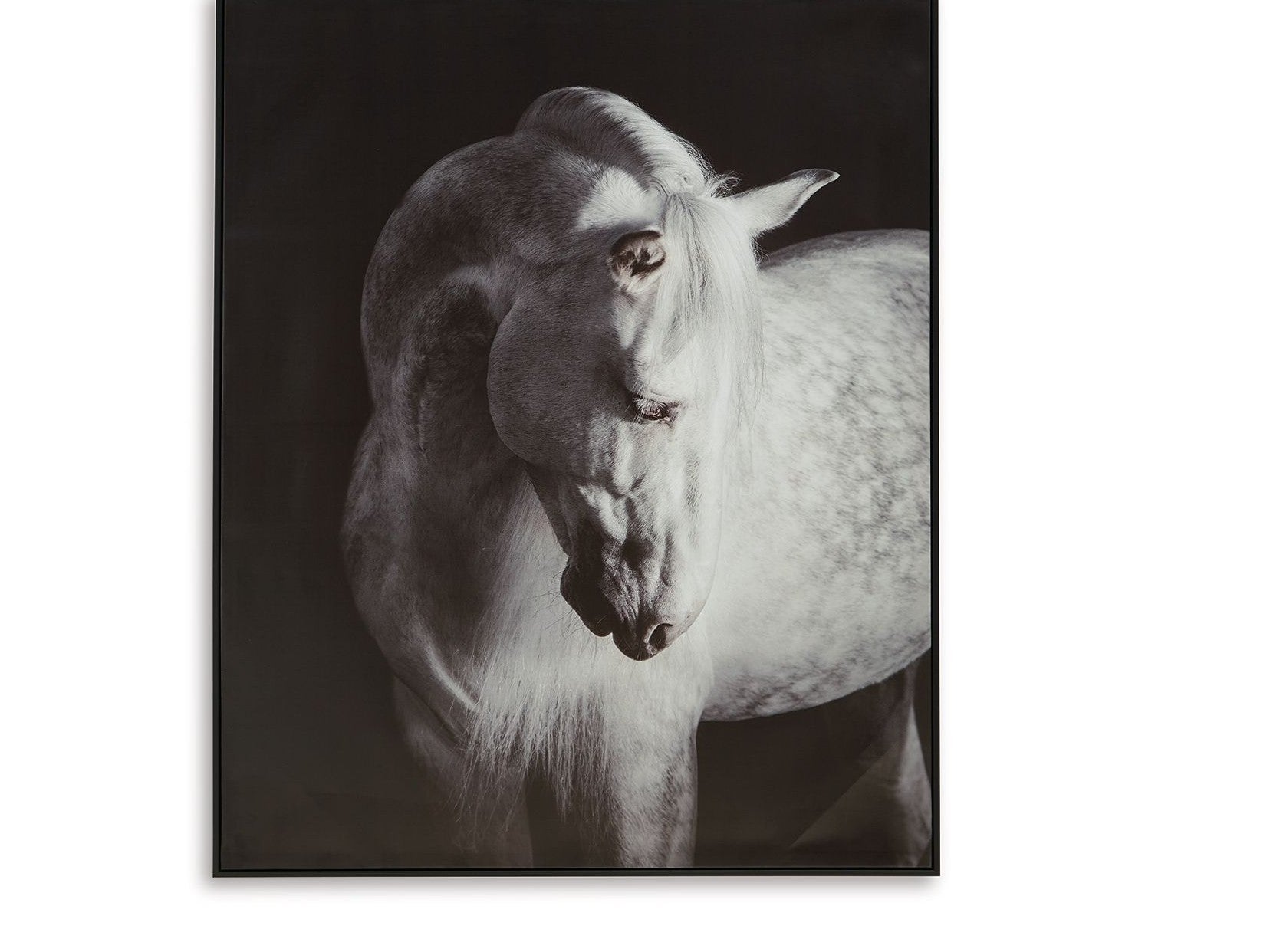 Archerwick - Wall Art - Black / White