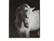 Archerwick - Wall Art - Black / White