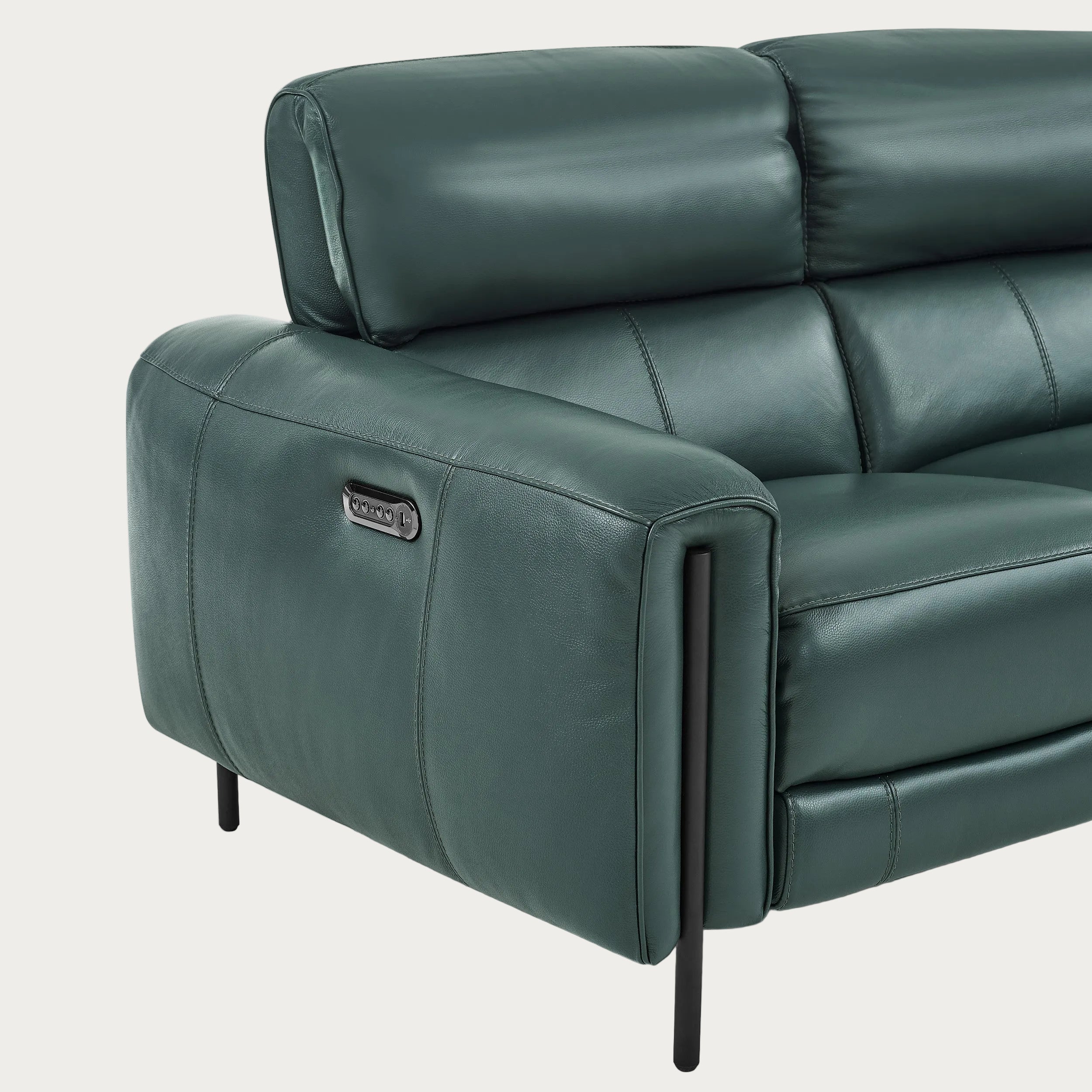 Charm leather sofa details