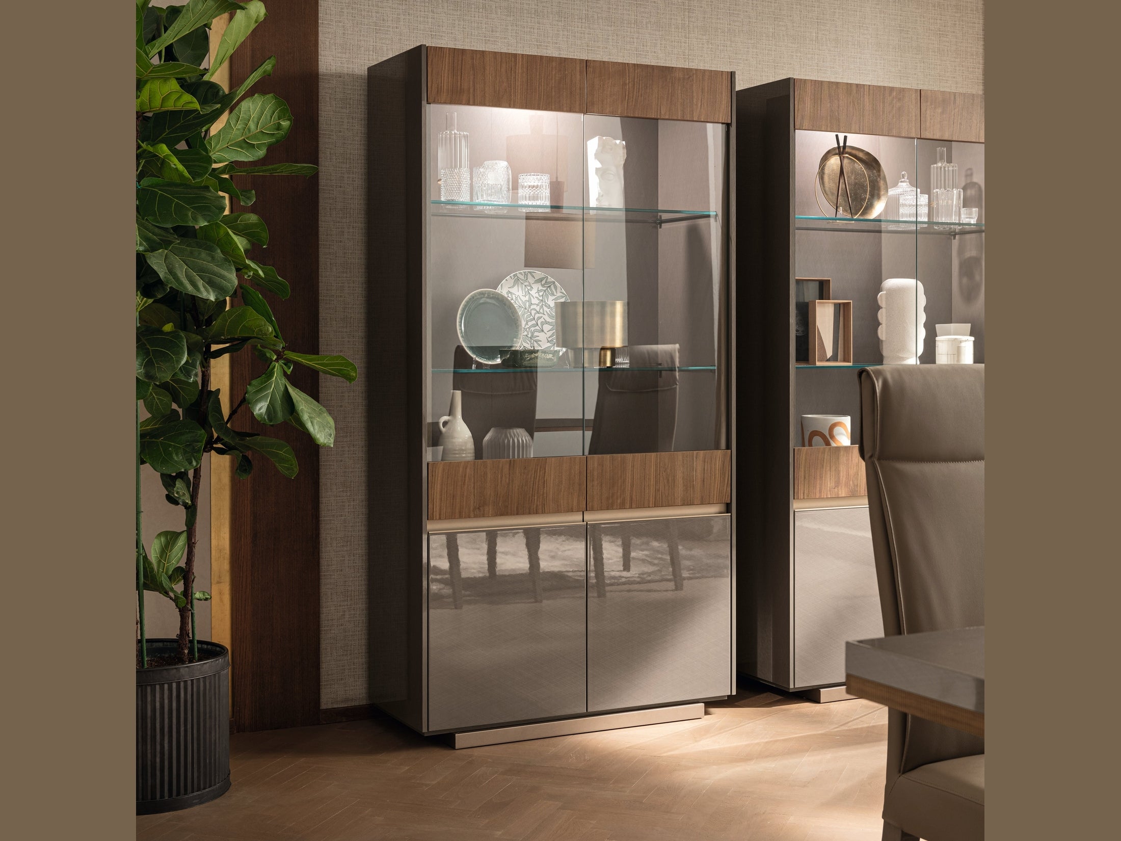 Modern glass display cabinets in a room with a plant and chair.