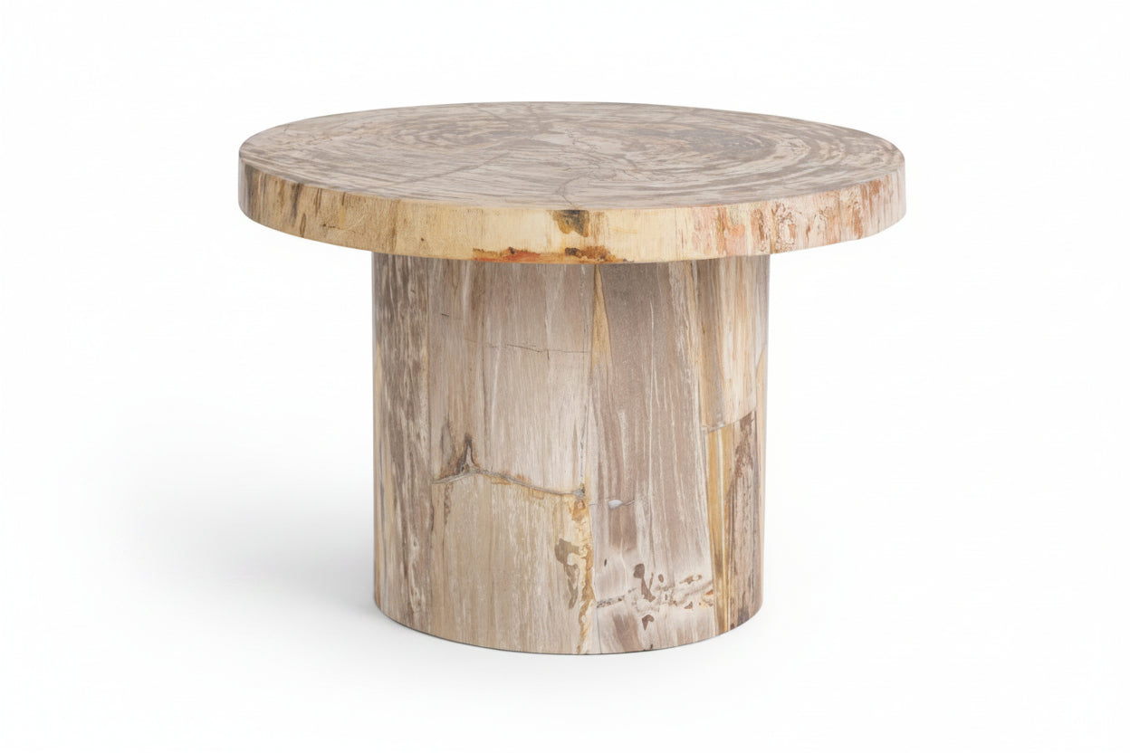 Round wooden table with a natural, Petrified wood finish on a white background