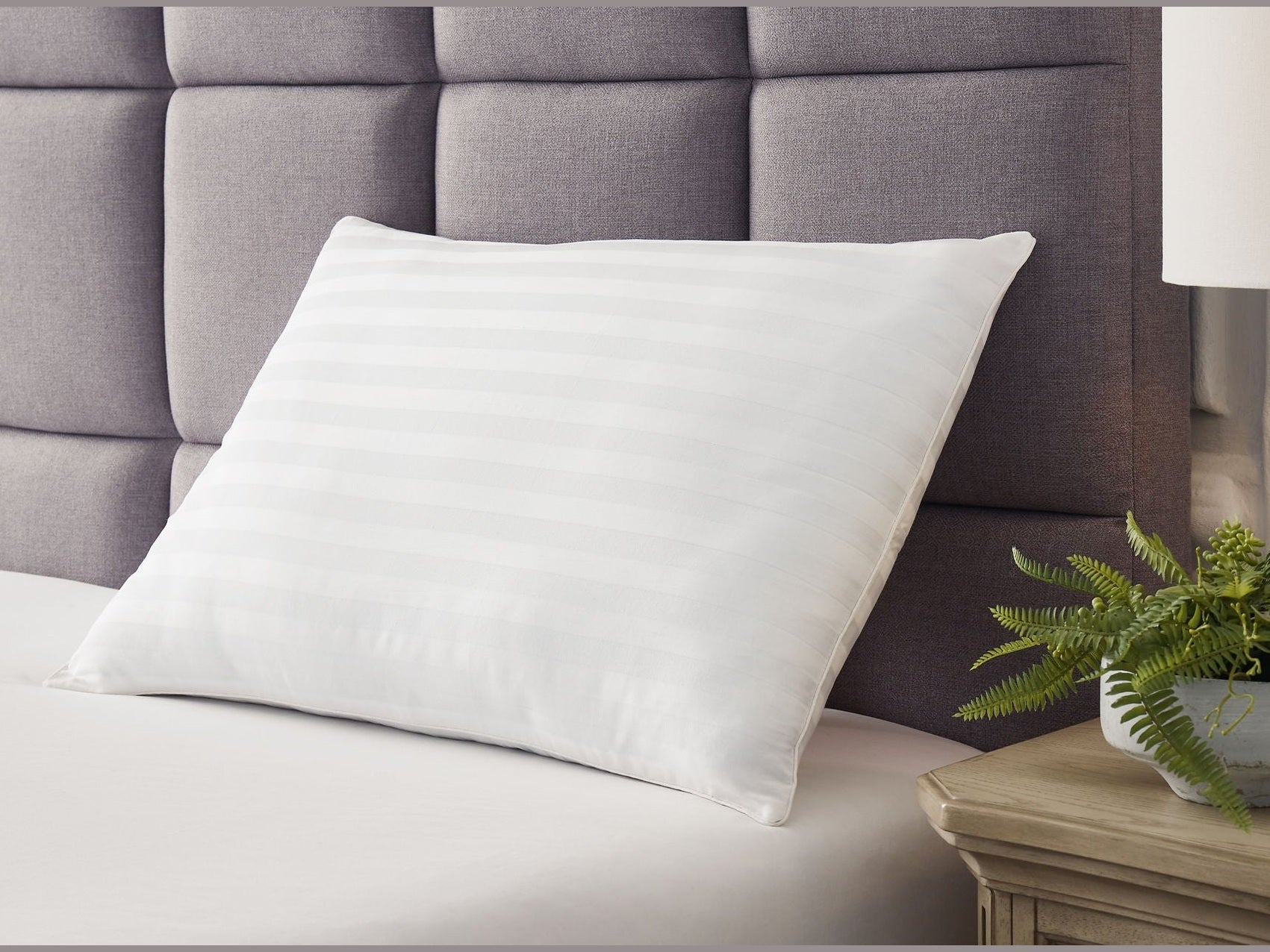 Zephyr 2.0 - Cotton Pillow
