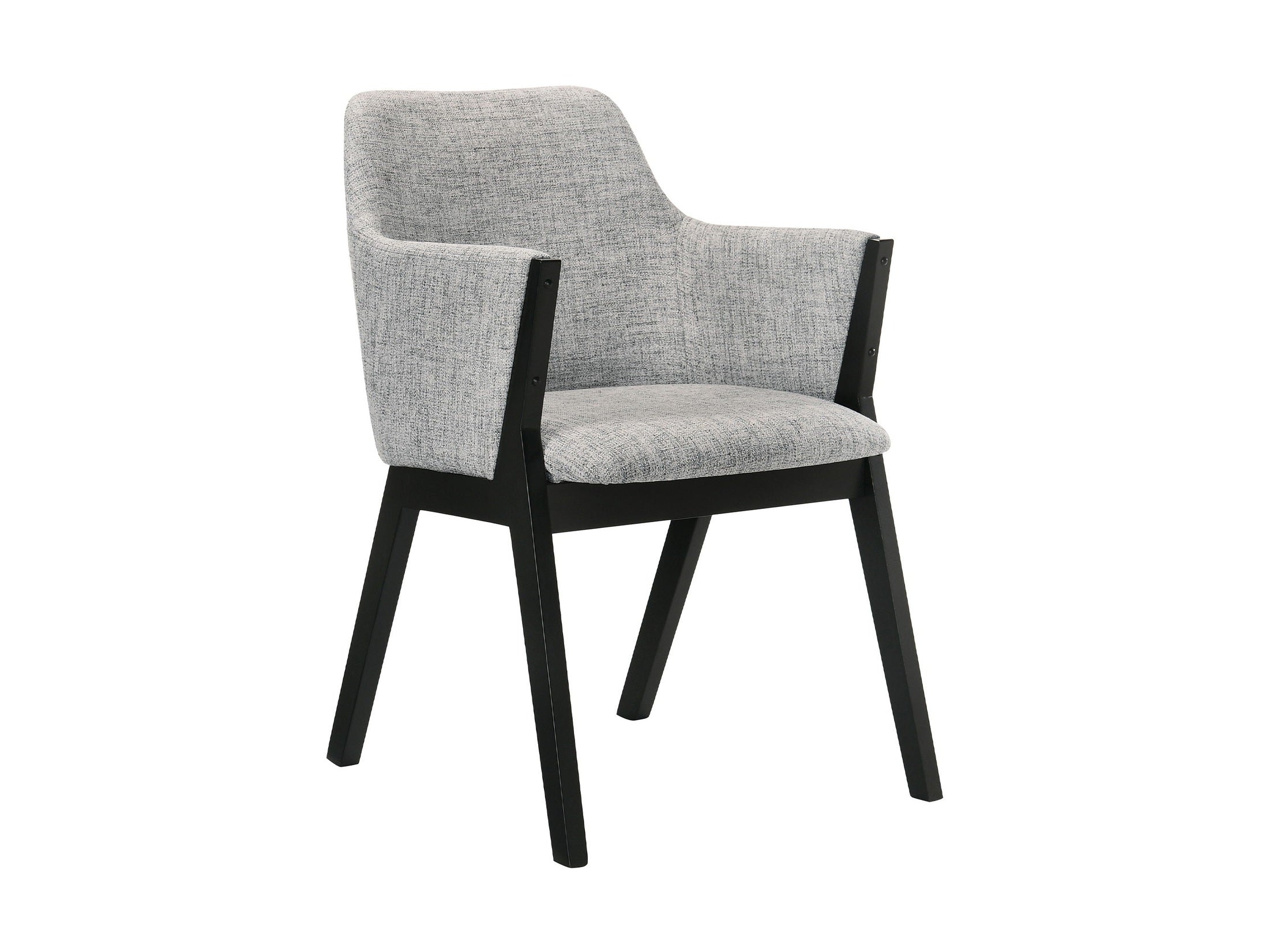 Renzo - Dining Side Chairs (Set of 2)