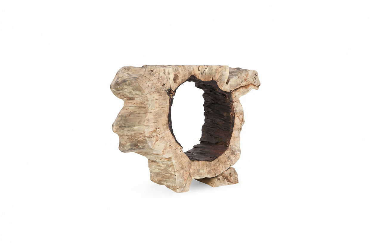 Wooden log with a hollow center on a white background
