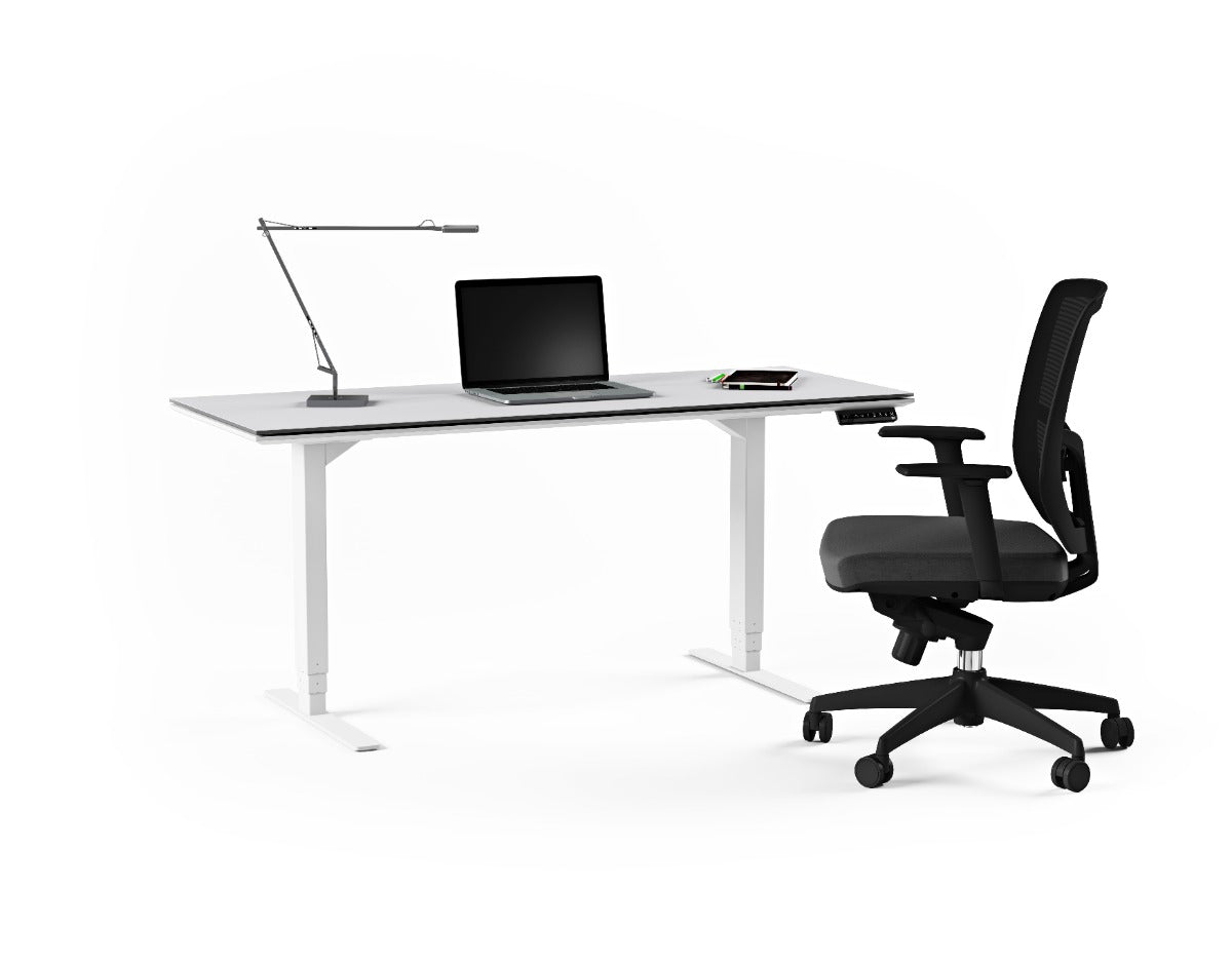 BDI Centro™ 6451-2 Standing Desk 60 inch wide