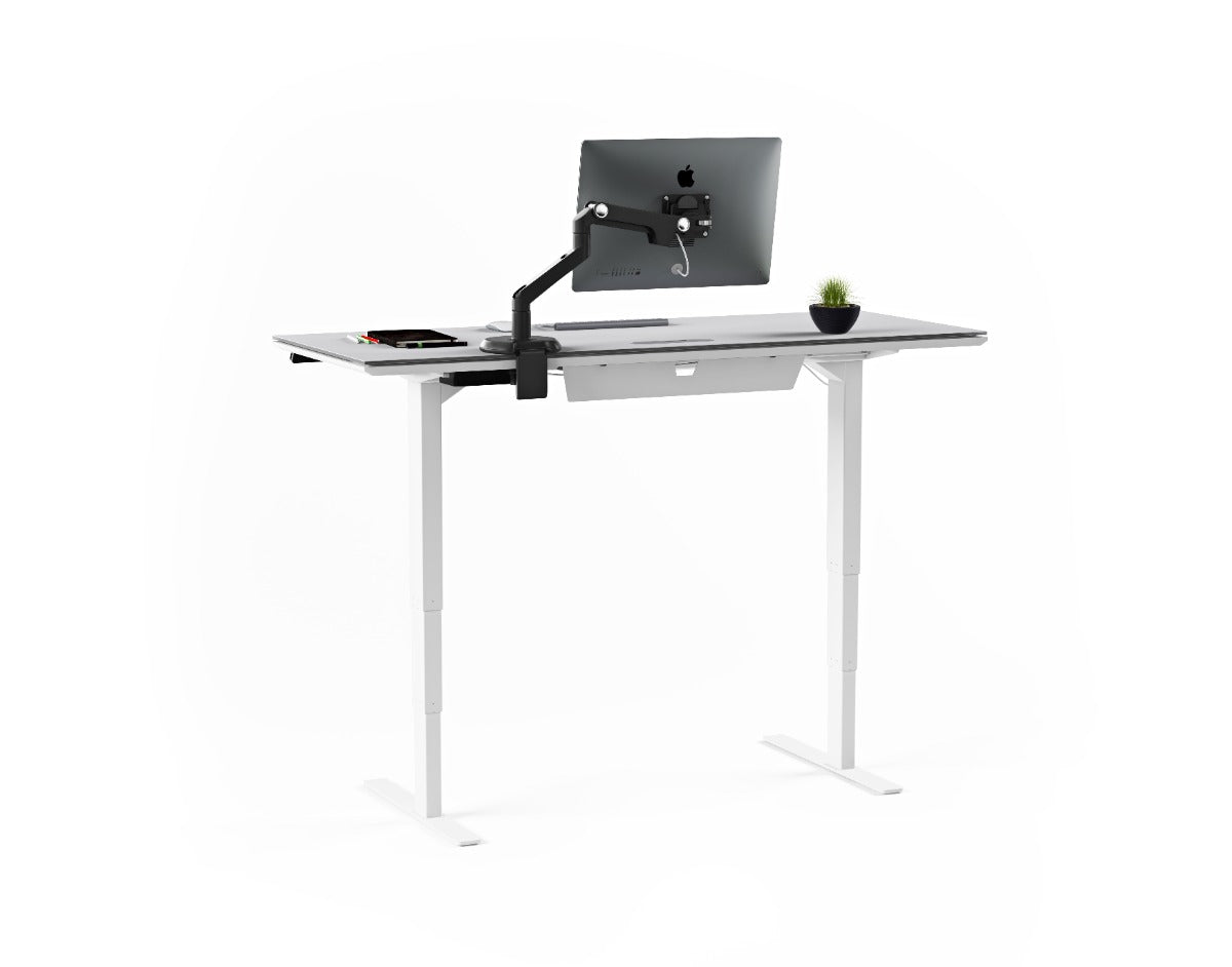 BDI Centro™ 6451-2 Standing Desk 60 inch wide