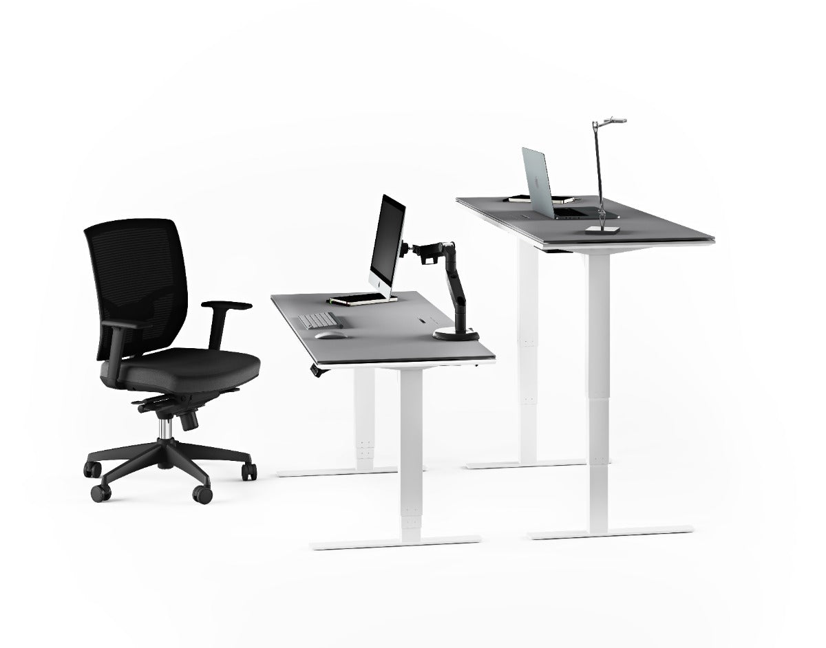 BDI Centro™ 6451-2 Standing Desk 60 inch wide