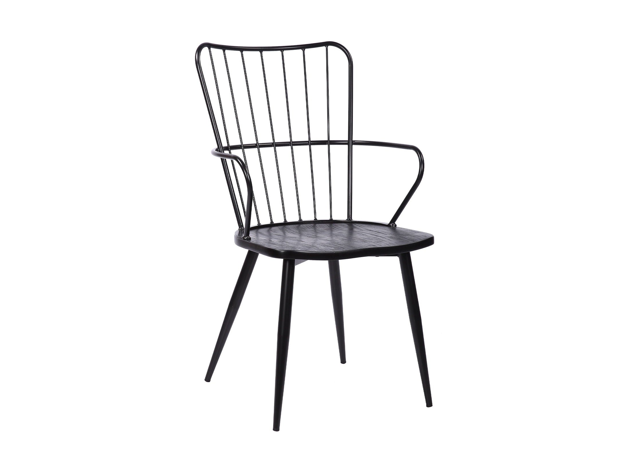 Parisa - High Back Steel Framed Side Chair - Black Powder / Brushed