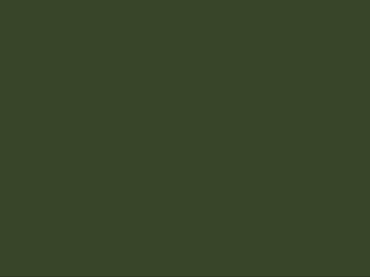 A solid dark olive green color swatch filling the frame.