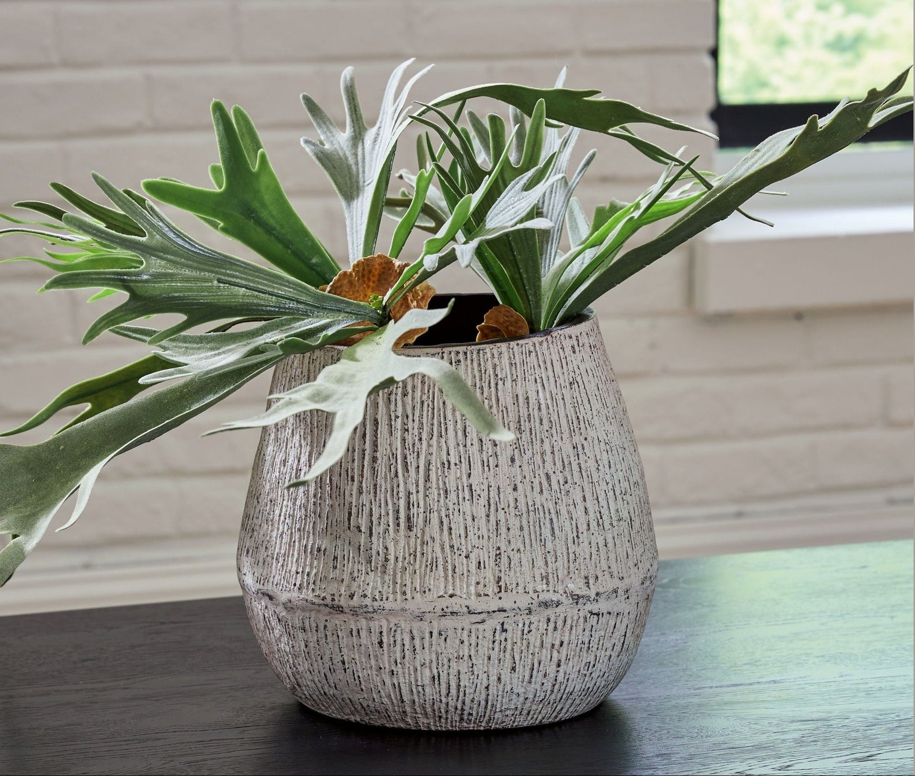 Potted plant with large green leaves in a textured pot on a wooden surface.