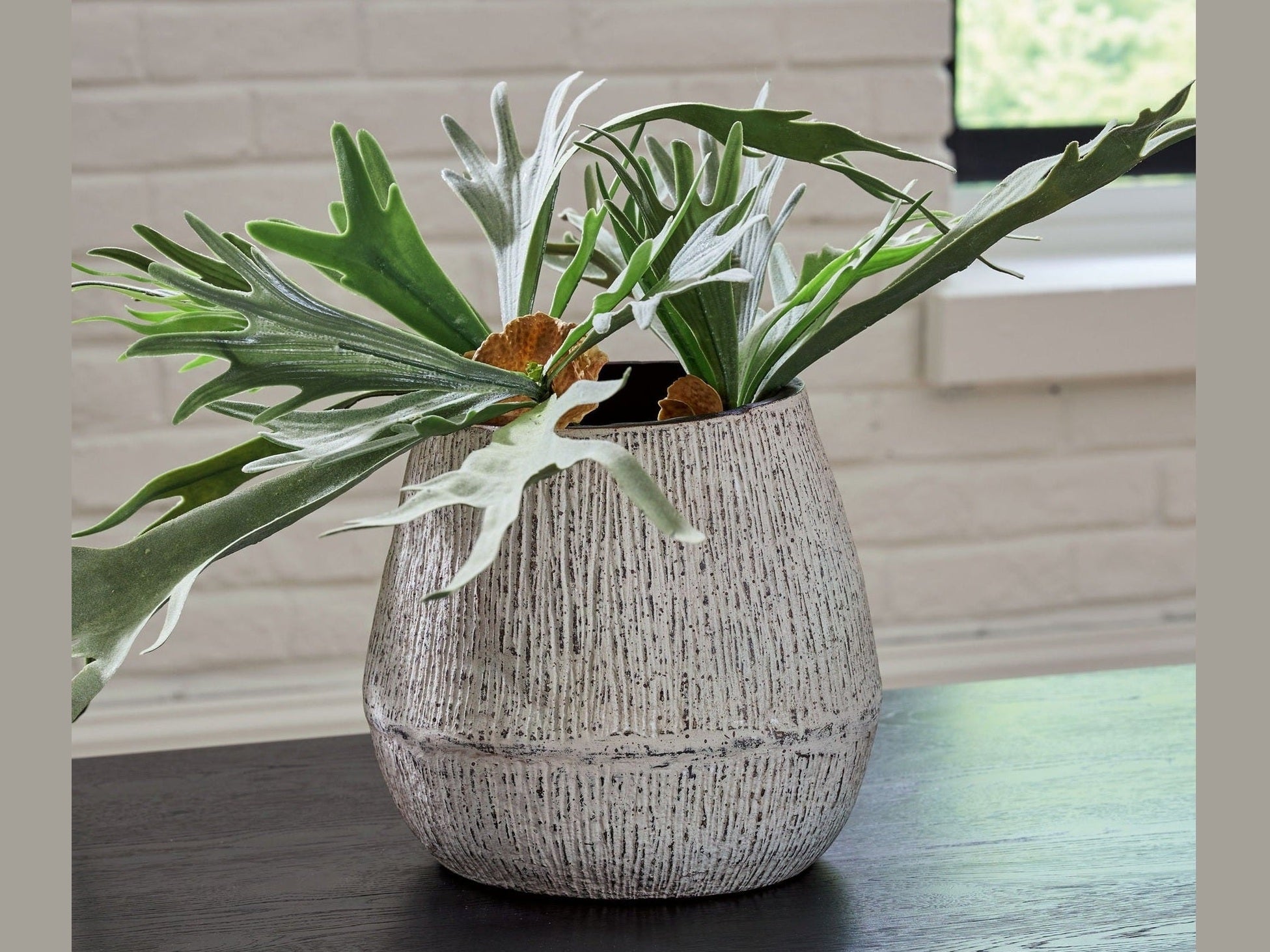 Potted plant with large green leaves in a textured pot on a wooden surface.