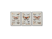 Jossletts - Wall Art Set (Set of 3) - Orange / Black / Ivory