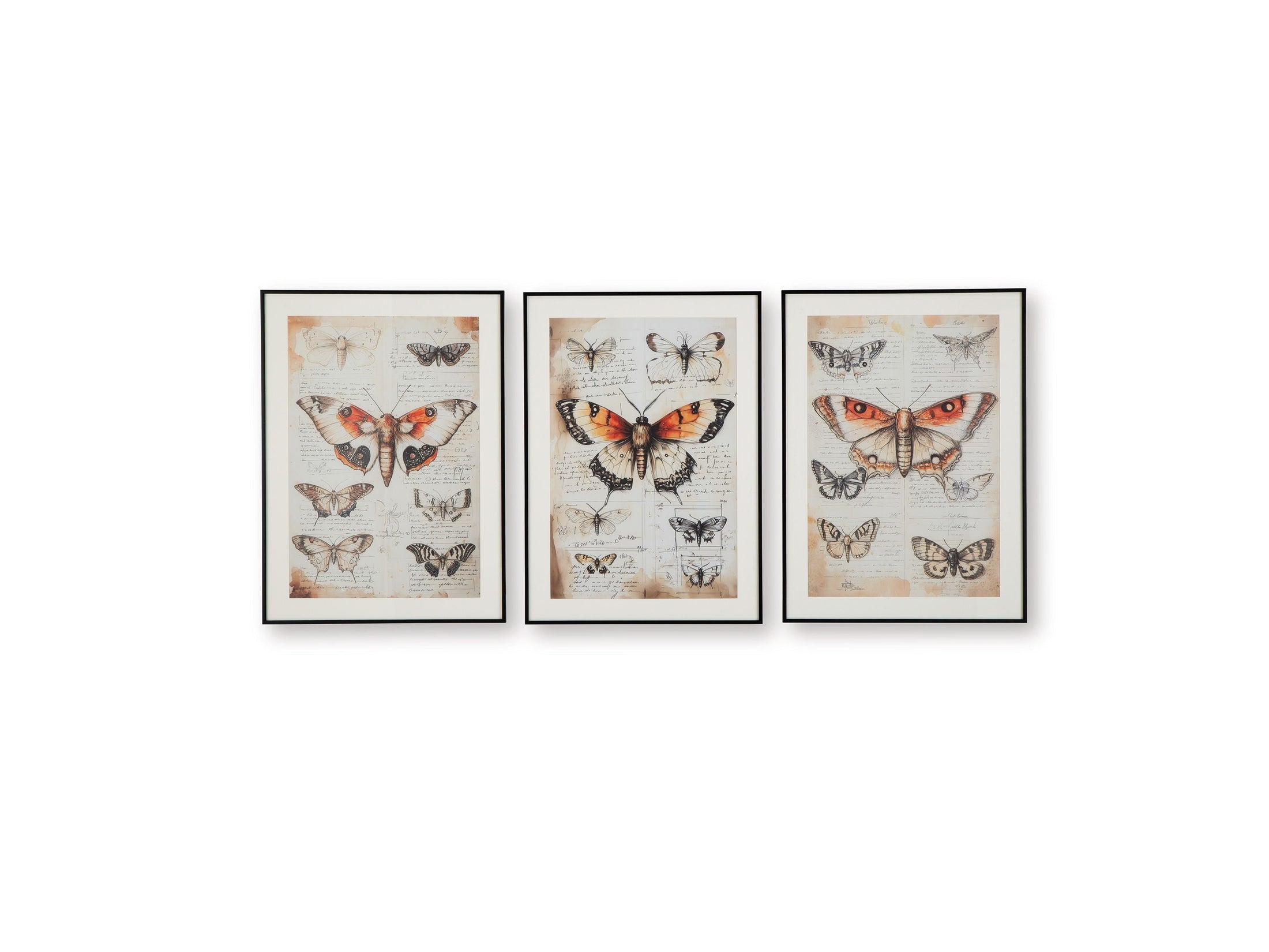 Jossletts - Wall Art Set (Set of 3) - Orange / Black / Ivory