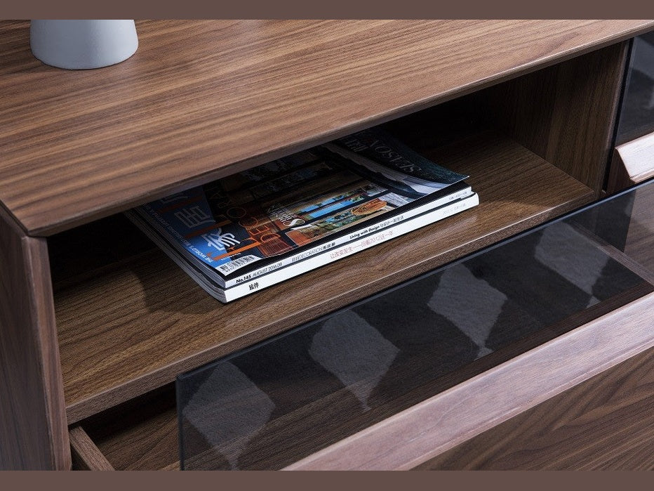 Lisa Modern TV Stand