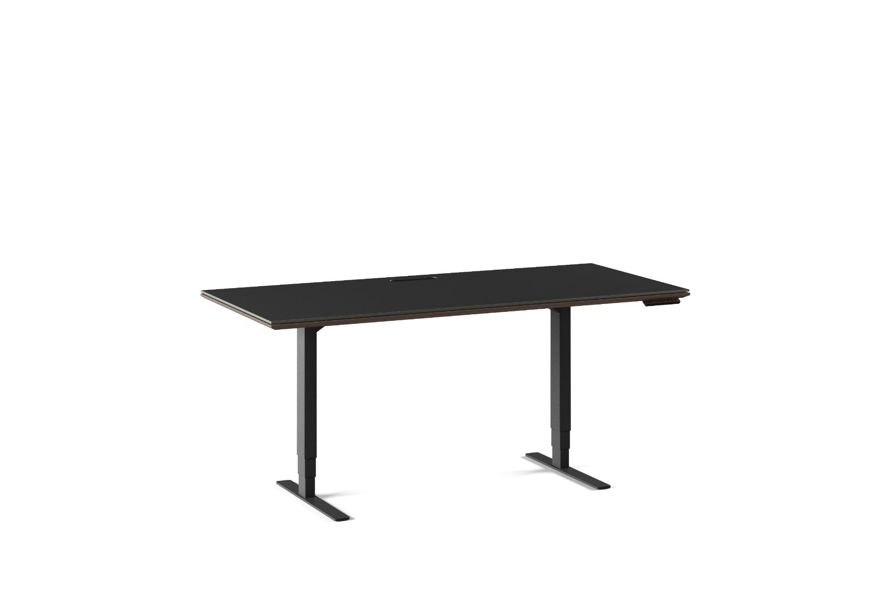 BDI Sequel 20  6152 Standing Desk