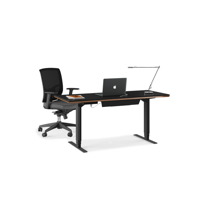 BDI Sequel 20 6151 Standing Desk main product photo