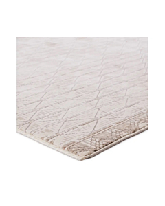 Jaipur Living Ozias Trellis Cream Light Brown Area Rug