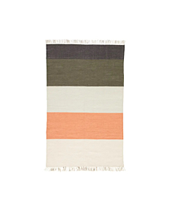 Jaipur Living Swane Indoor/ Outdoor Striped Coral/ Green Area Rug