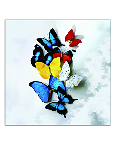 Wall Art JD-6-1054 | Creative Furniture