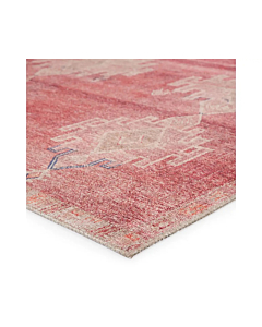 Vibe by Jaipur Living Evadne Medallion Pink Blue Runner Rug