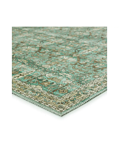 Nikki Chu by Jaipur Living Razi Trellis Green Tan Area Rug