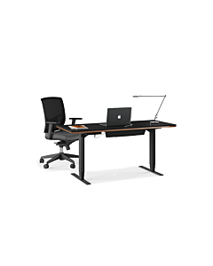 BDI Sequel 20  6151 Standing Desk