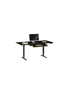 BDI Sequel 20  6152 Standing Desk