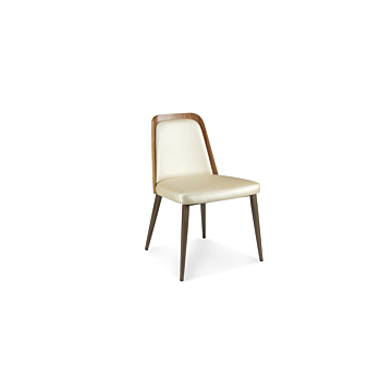 Elite Modern Coco Dining Chair with Wood Back