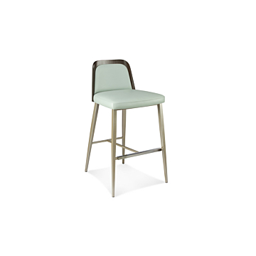 Elite Modern Coco Counter Stool Wood Back