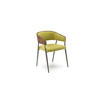 Elite Modern Aria Dining Chair with Wood Back