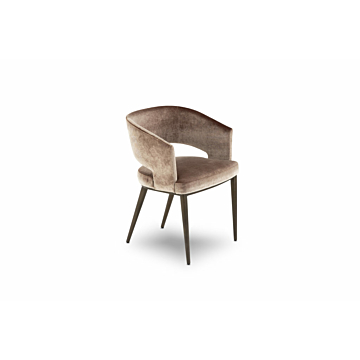 Elite Modern Circa Dining Chair