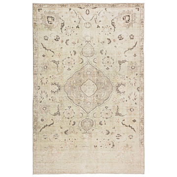 Jaipur Living Victoire Medallion Green/ Gray Area Rug