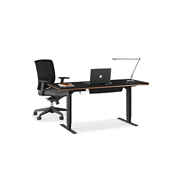 BDI Sequel 20  6151 Standing Desk