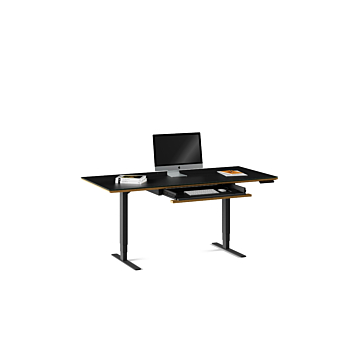 BDI Sequel 20  6152 Standing Desk