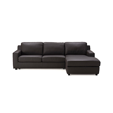 Taylor Premium Sectional Sleeper in Brown