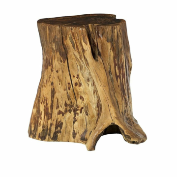 Hammary Hidden Treasures Tree Trunk Accent Table